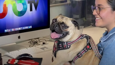 Día Mundial del Perro: Mascotas visitan Uno TV