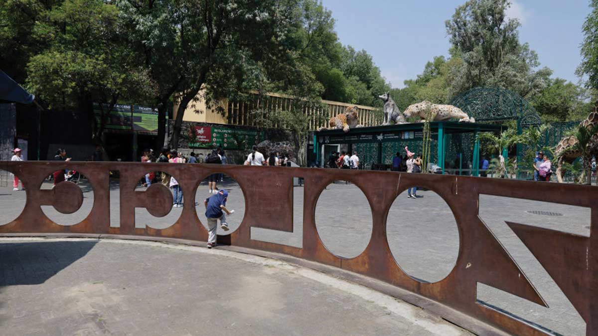Celebran centenario del Zoológico de Chapultepec con libro y cápsula del tiempo