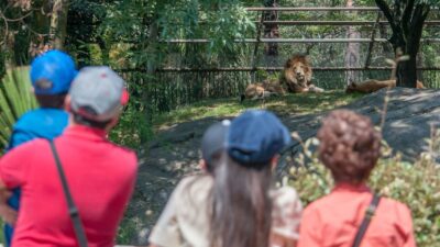 Zoológico de Chapultepec cumple 100 años: 5 actividades para celebrarlo