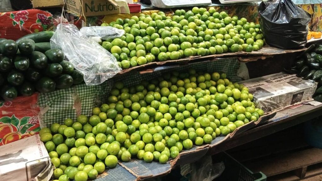 Apatzingán: incrementa precio del limón tras paro de productores