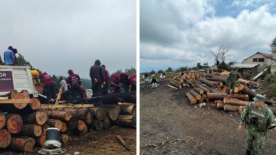 Desmantelan séptimo aserradero en Huitzilac Morelos