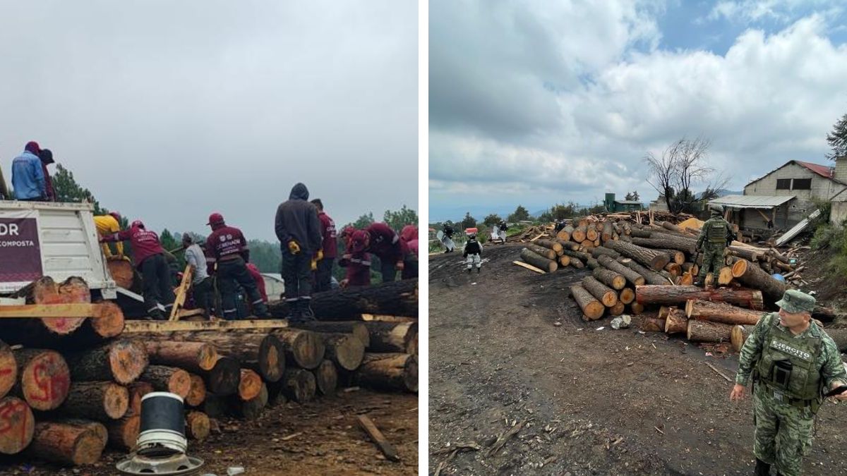 Siguen operativos contra tala ilegal: desmantelan séptimo aserradero en Huitzilac, Morelos