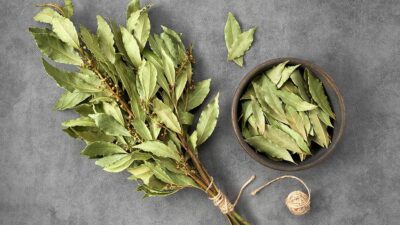 Beneficios de tomar té de laurel en ayunas