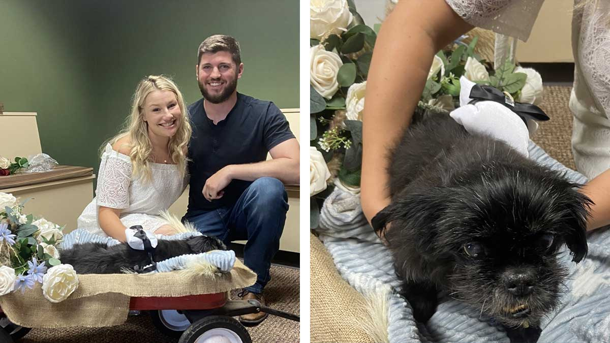 Celebran su boda en veterinaria junto a su perrito enfermo