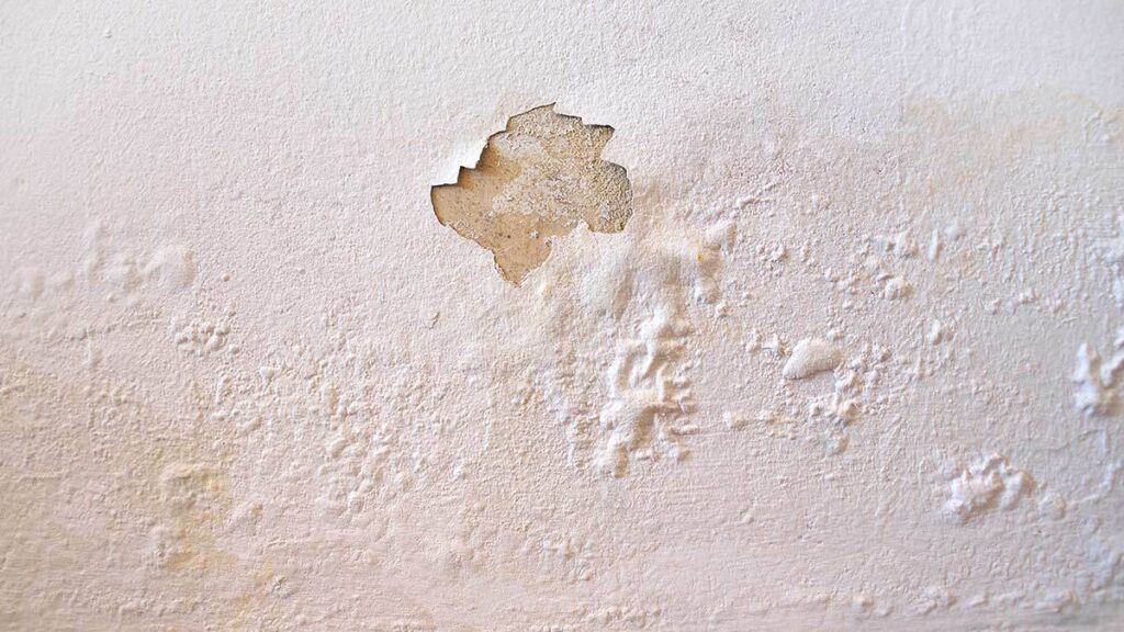Cómo quitar la humedad de las paredes, rápido y sin gastar tanto