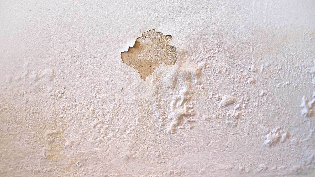 Cómo eliminar humedades en la pared
