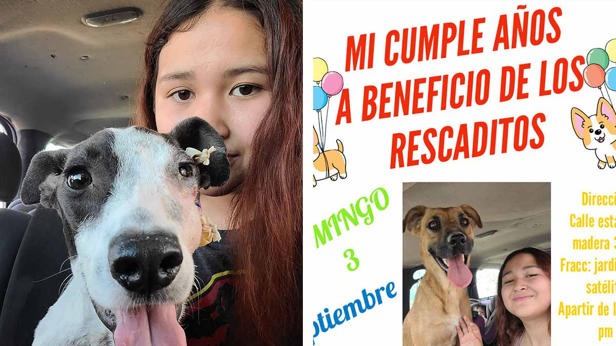 Chica celebrará su cumpleaños y pide que los regalos sean para los perritos de sus refugios