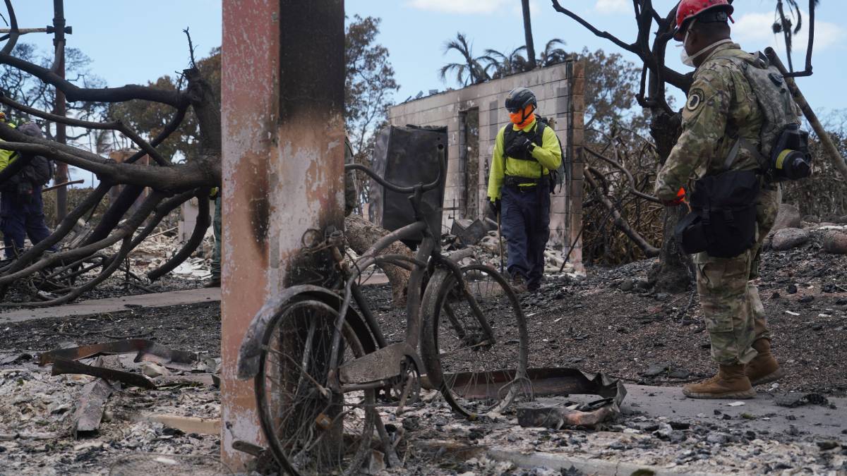 En Hawái Sólo Encuentran Cenizas Tras Incendio Forestal Que Ha Dejado