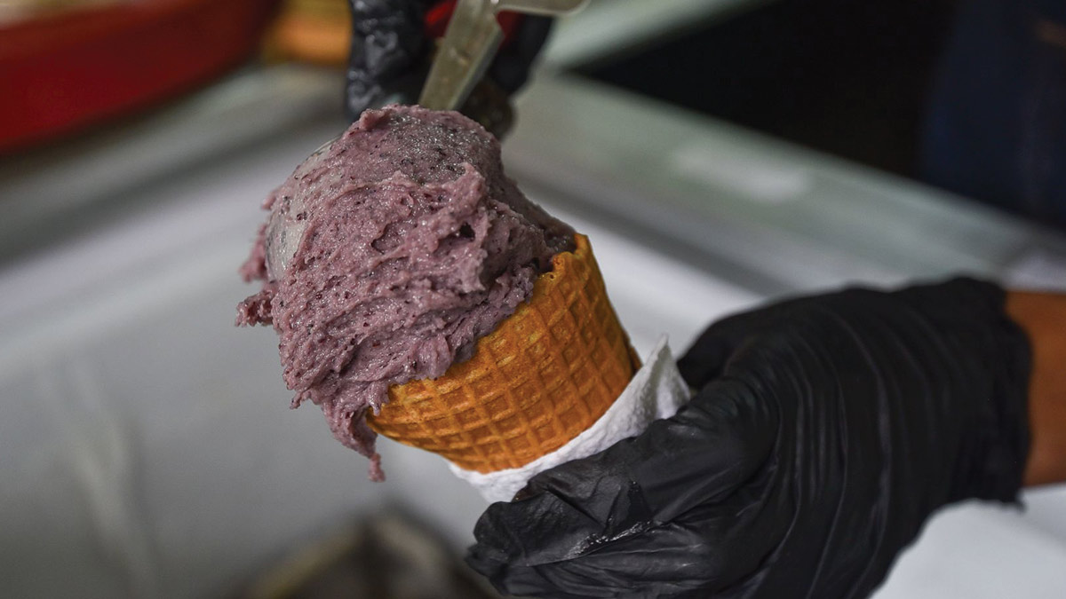 ¿Se te antoja un helado? ¡Cuidado! Cofepris lanza alerta por helados contaminados con bacteria