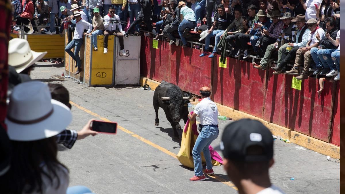 Imágenes de la Huamantlada 2023 en Tlaxcala: toros dejan 20 heridos, 2 de gravedad