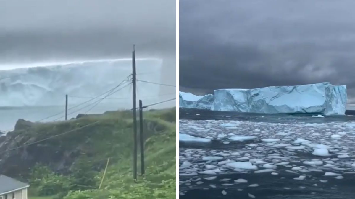 Asombra enorme iceberg “estacionado” en costas de Canadá