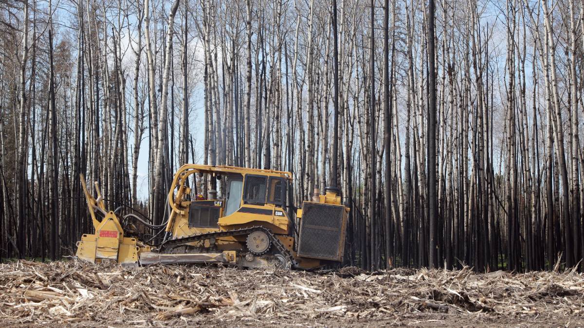 Incendios forestales en Canadá alcanzaron récord de emisiones de carbono
