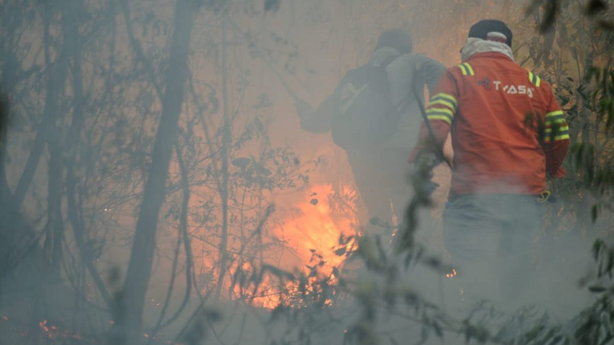 Humo de incendios forestales puede afectar la salud aún estando a kilómetros, ve señales de alerta