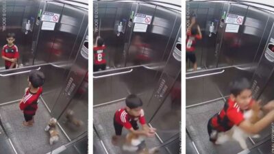 Niño logra salvar a su perro tras quedar atrapado en la puerta del elevador