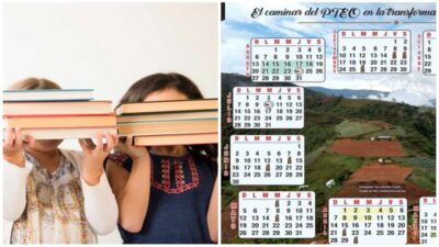 Oaxaca Anuncia Libros Y Calendario Propios