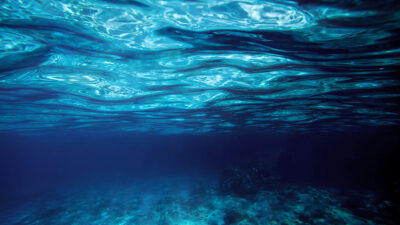 Océanos: superficie alcanza temperaturas récords