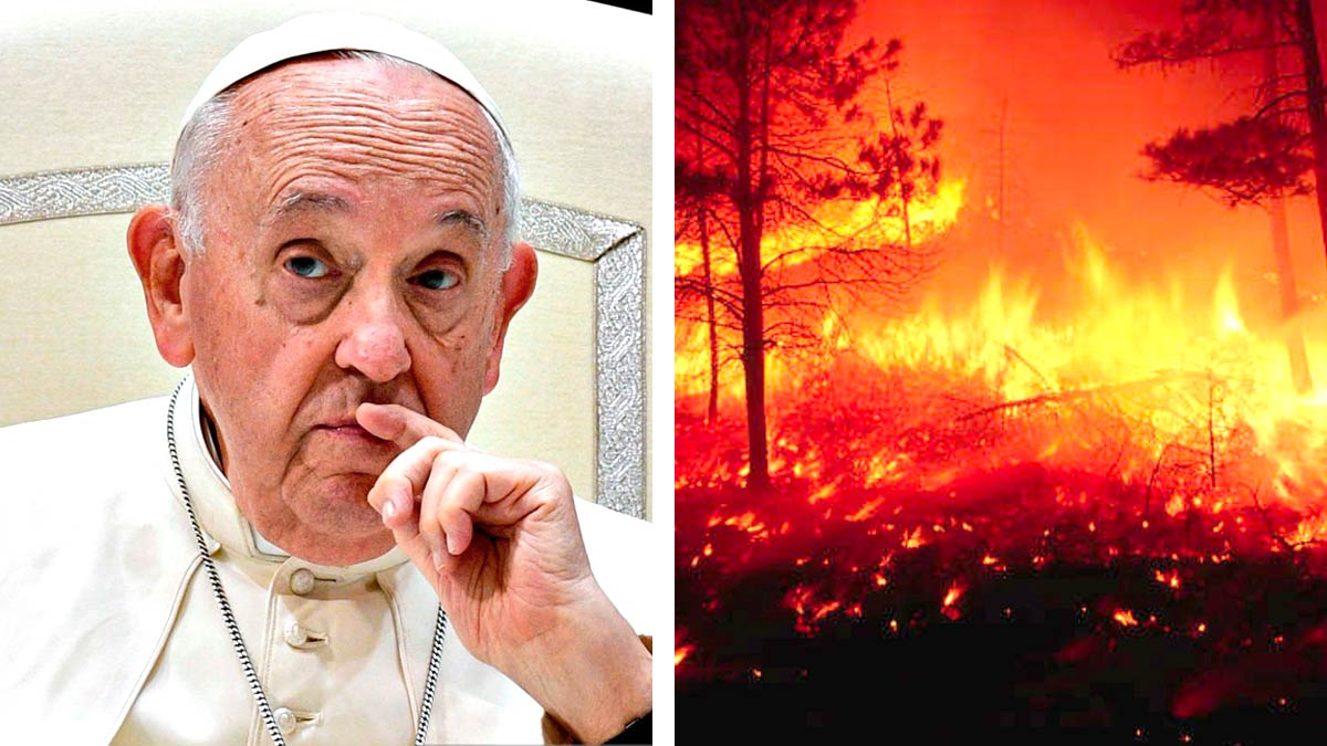 La segunda llamada del Papa Francisco ante el medio ambiente
