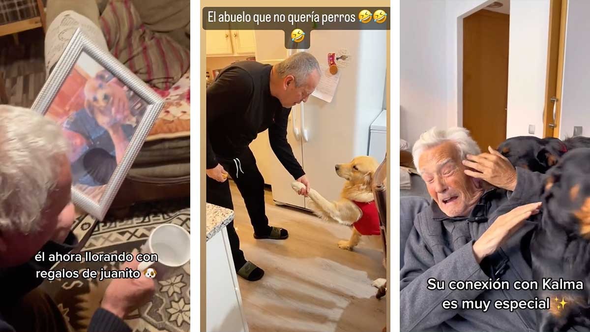 Estos perritos demostraron ser los consentidos de los abuelitos, videos que te harán sonreír