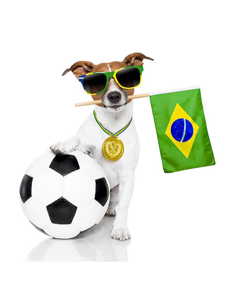 Perro Brasil