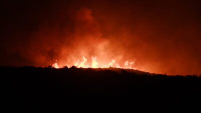 Piroceno, la llamada "Edad del Fuego" provocada por los incendios forestales recientes