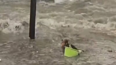 Abuelita trata de luchar por su vida al quedar atrapada en las inundaciones