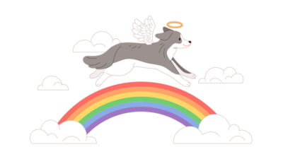 Puente del arcoíris: el poema describe el cielo de las mascotas