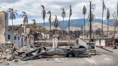 Restos que dejaron los incendios en Hawái