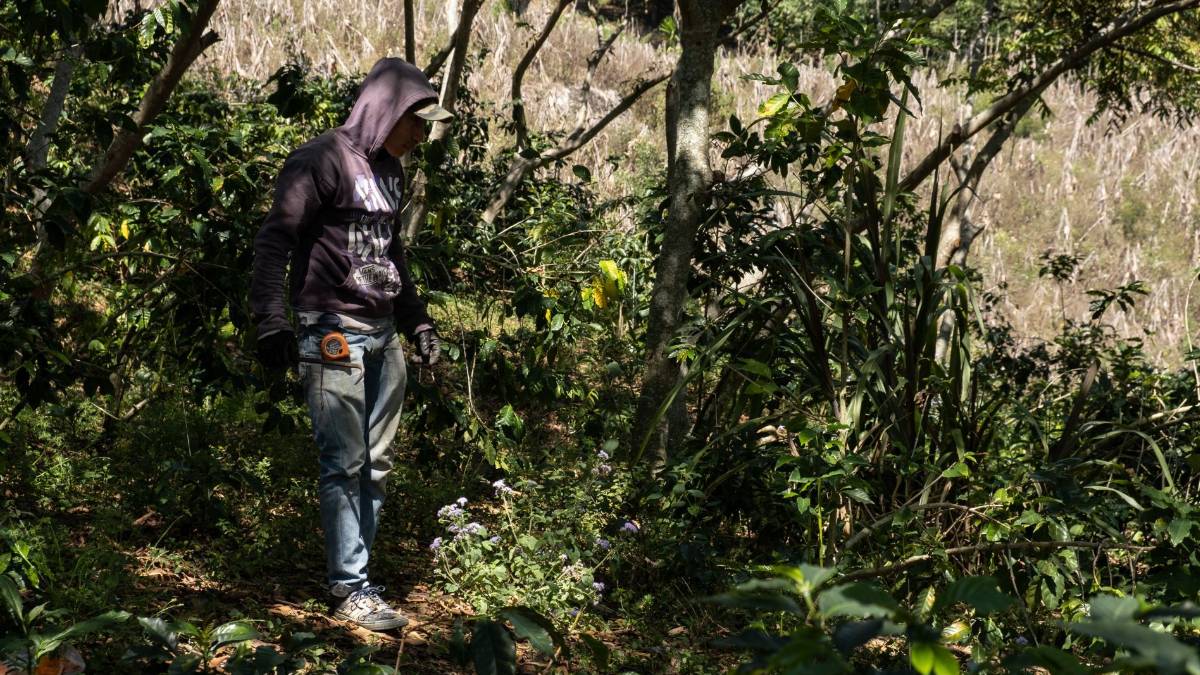Pobladores de Mitontic secuestran a hijos de alcaldesa en Chiapas; exigen 5 mdp para obras