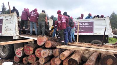 Suman 13 aserraderos clandestinos desmantelados; decomisan madera y herramientas