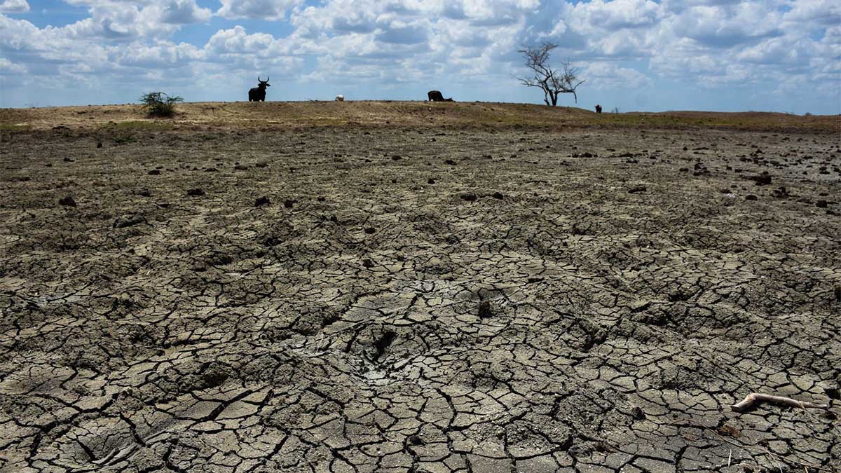 ¡Alerta en Tamaulipas! 20 de los 43 municipios del estado se quedan sin agua