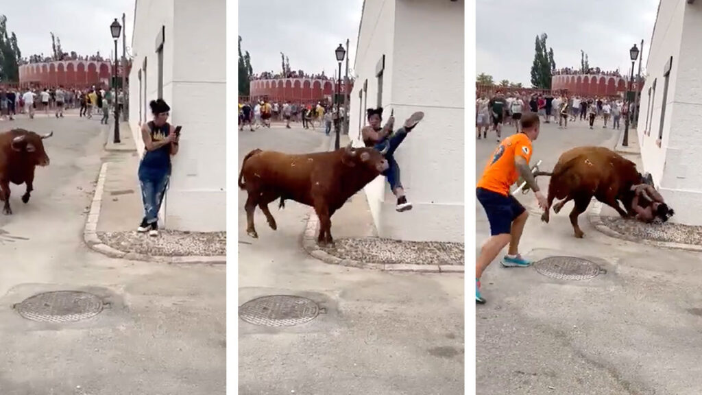 No metió ni las manos: toro embiste a chica por estar distraída con su celular en España