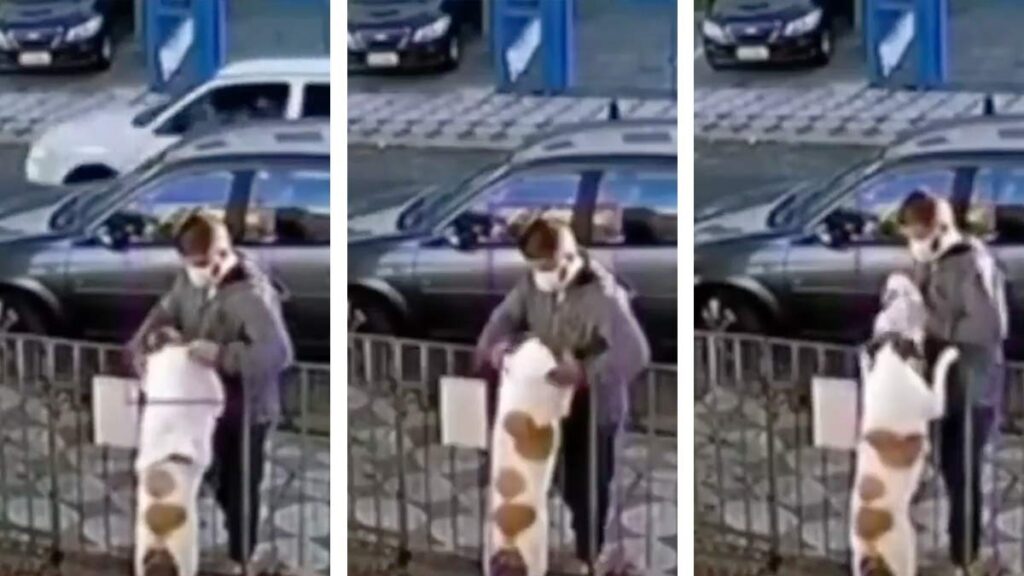 Le roban la playera a un perrito, todo quedo grabado ¡Perra vida!