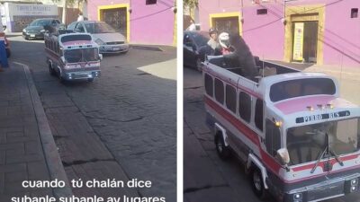 Perro bus, perrito recorre las calles con su autobús y se hace viral: Súbale súbale hay lugares