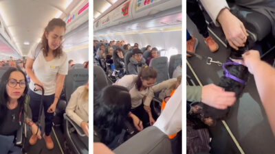 Viva Aerobús: mujer sería bajada de avión con perro de apoyo emocional por no tener bozal; pasajeros la defienden