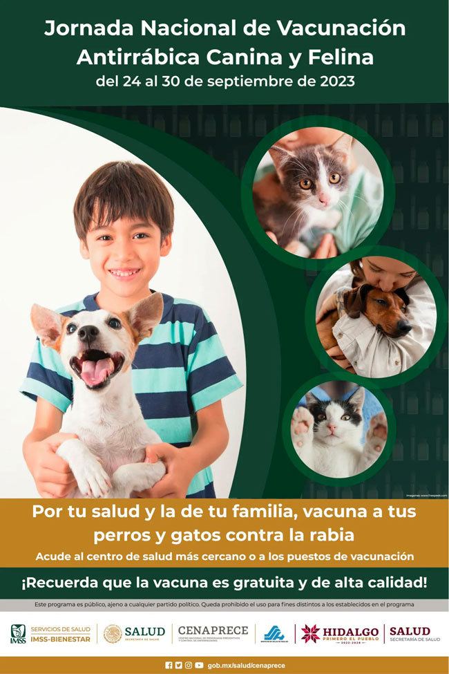 Vacunación contra la rabia: ¿Dónde aplican la vacuna antirrábica gratis a perros y gatos?