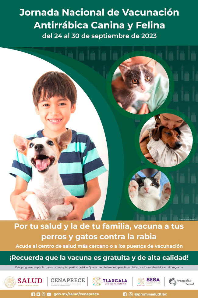 Vacunación contra la rabia: ¿Dónde aplican la vacuna antirrábica gratis a perros y gatos?