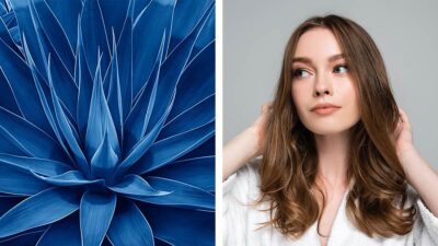 Beneficios del agave azul en el cabello y la piel