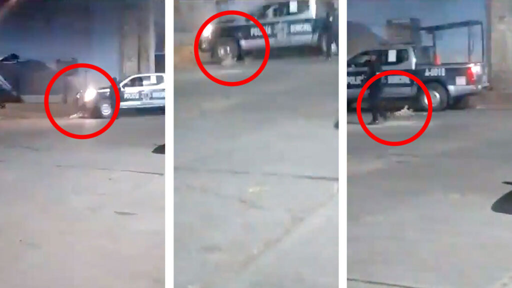 ¡No tienen corazón! Policías pasan por encima de perrito y lo matan en Ocotlán, Oaxaca