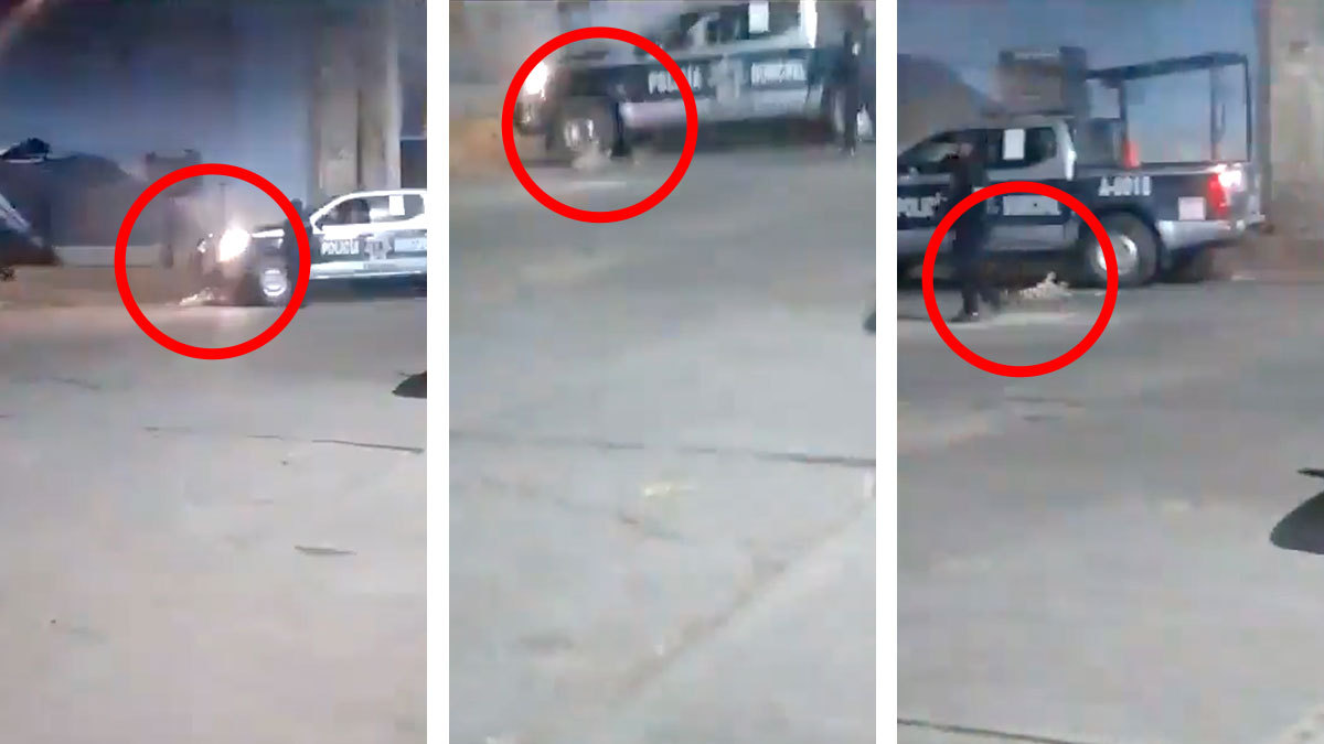 Policías pasan con patrulla por encima de perrito y lo matan en Oaxaca