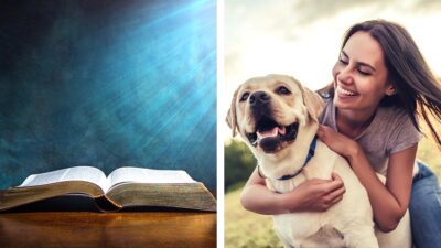 La Biblia: Versículos que hablan del amor a los animales