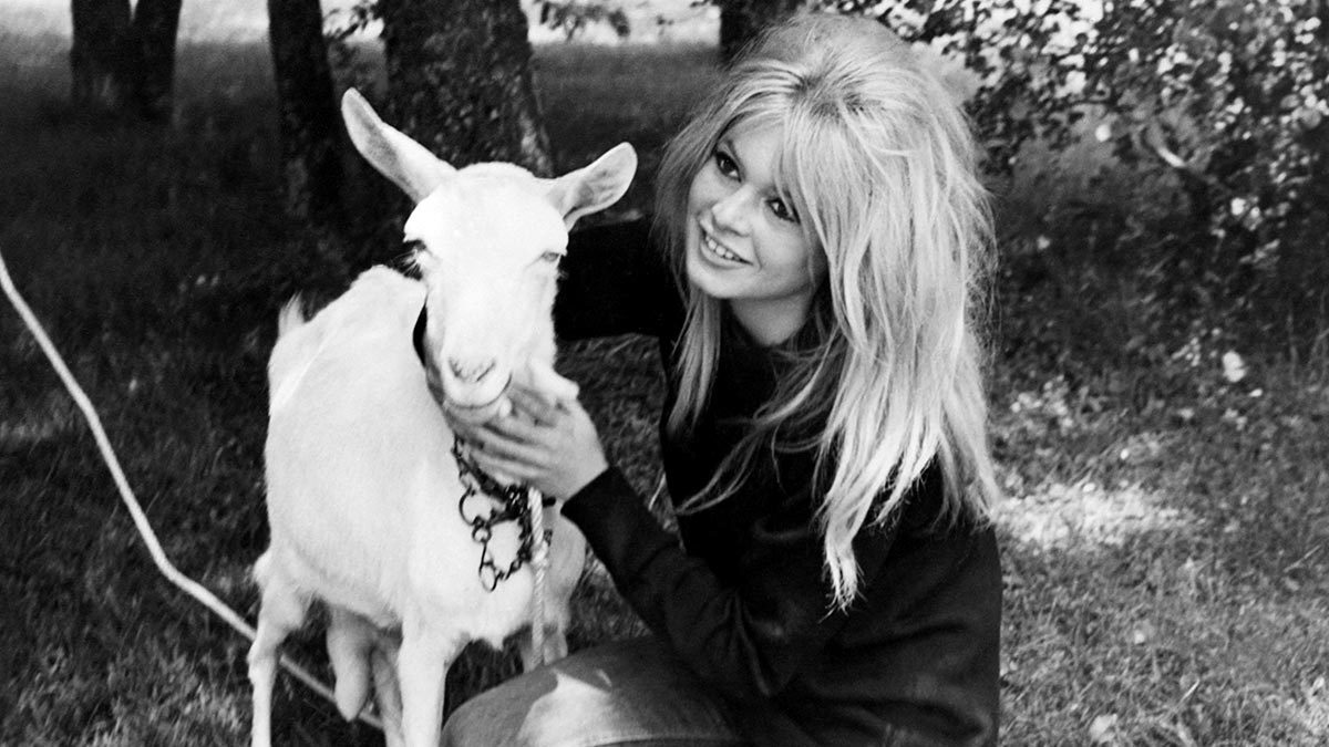 Brigitte Bardot, la eterna defensora de los animales: “Sin ellos me habría suicidado”