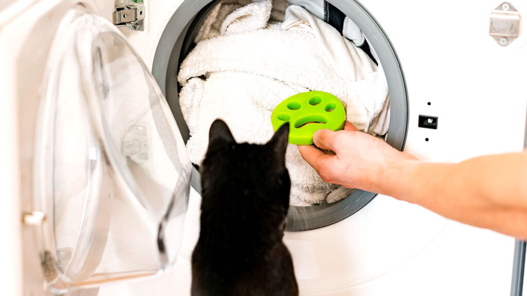 Cómo quitar los pelos de tu mascota de la lavadora
