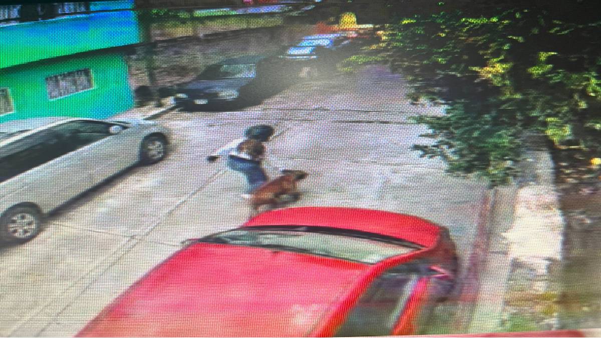 Me haré responsable: dueño del pitbull que atacó a niño en Morelos