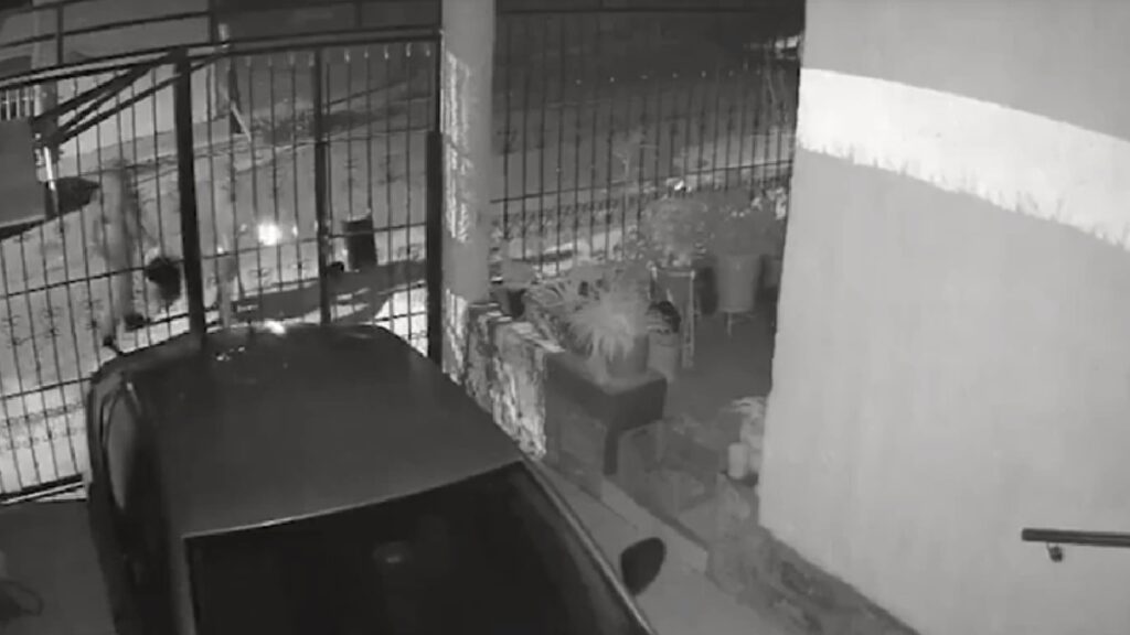 En Zacatecas, mujeres lanzan gasolina y queman auto; video