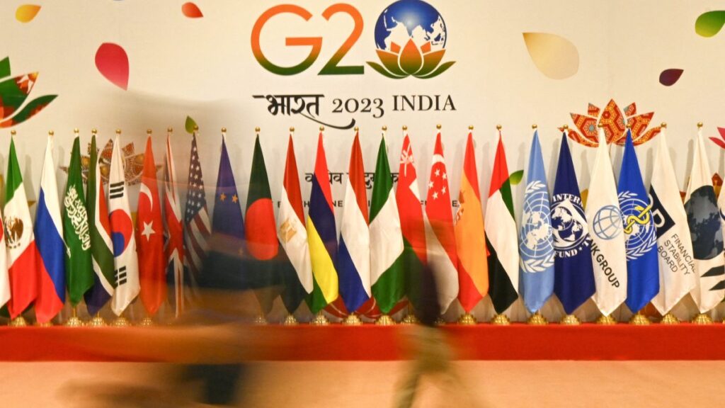 Banderas de países y cartel de bienvenida para los líderes del G20 en India