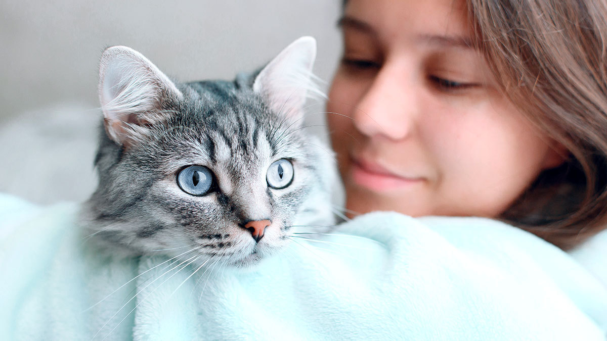¿Cuánto tarda un gato en olvidar a su dueño?
