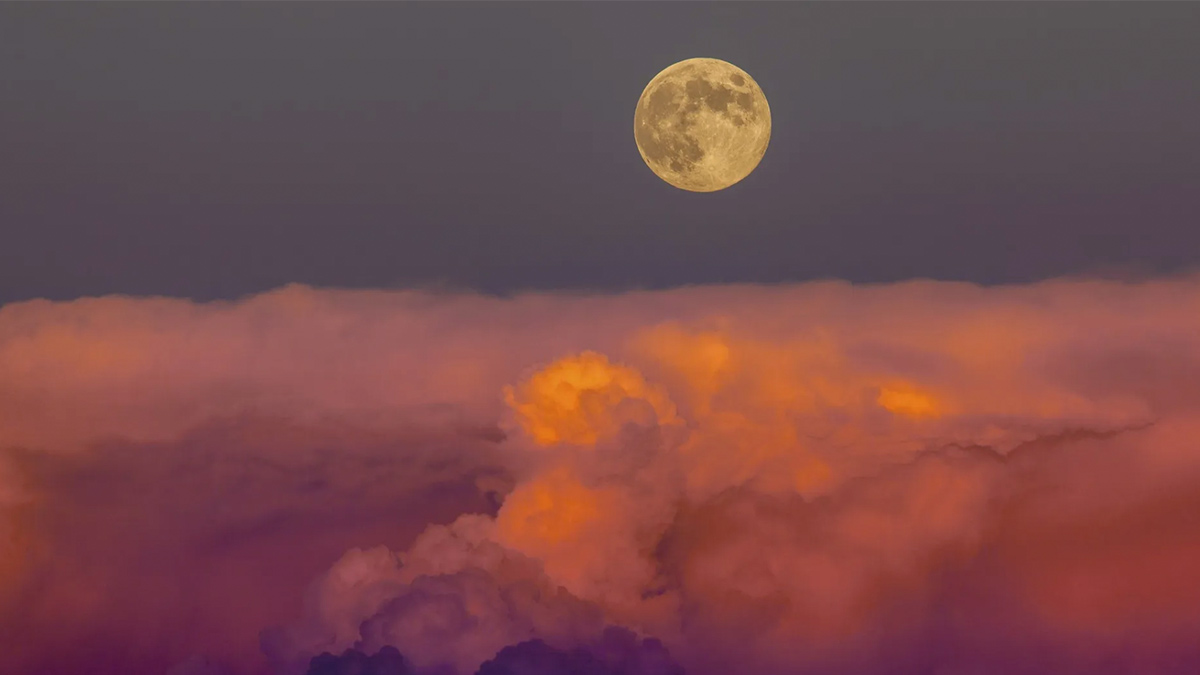 Luna de cosecha 2023: ¿cómo ver la última superluna del año, hoy viernes 29 de septiembre?