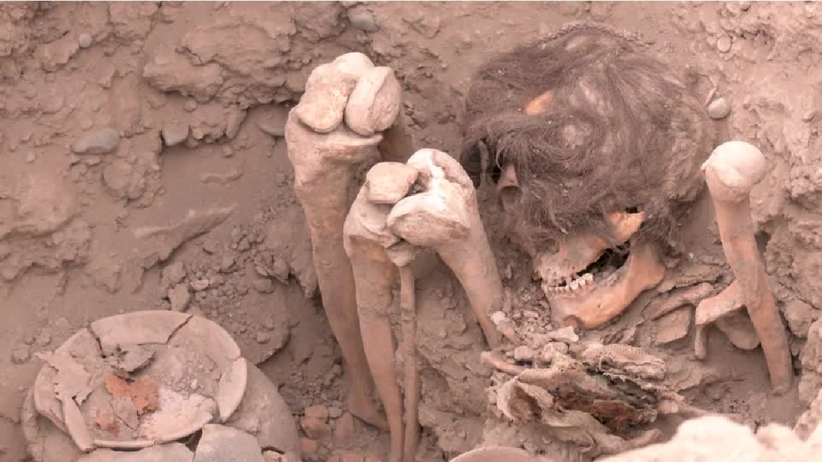 ¡Histórico! Perú encuentra una momia con más de mil años de antigüedad en Lima