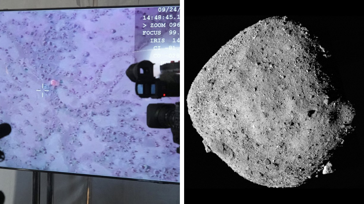 Misión OSIRIS-Rex: llega cápsula de la NASA con mayor muestra jamás recogida de un asteroide