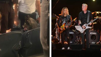 Perra se escapa para ir a concierto de Metallica
